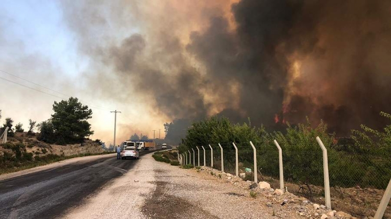 Премьер-министр Грузии выразил готовность оказать помощь охваченной пожарами Турции