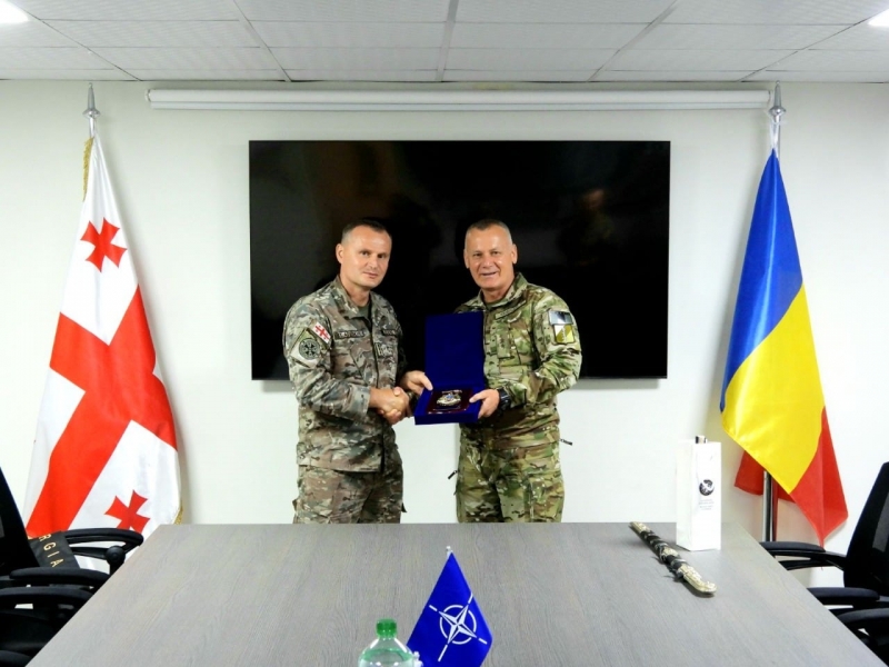 Силы специальных операций Грузии и Румынии рассчитывают углубить сотрудничество