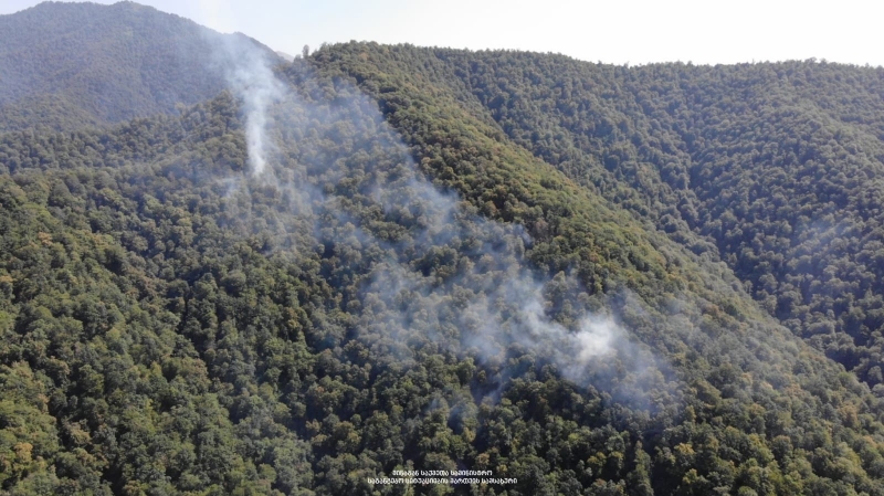 В Восточной Грузии тушат лесной пожар