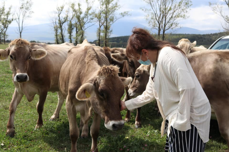 Швейцарский стандарт: в Дманисском районе Грузии открылось аграрное профтехучилище