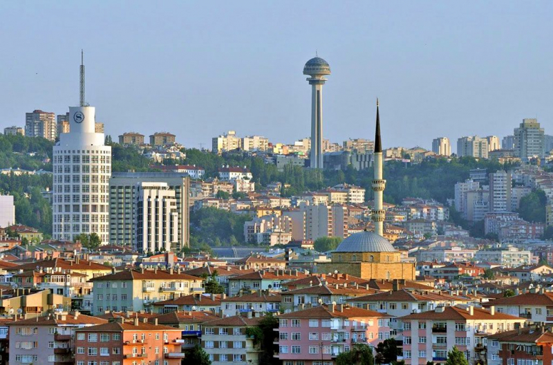 Делегация парламента Грузии направляется с официальным визитом в Турцию