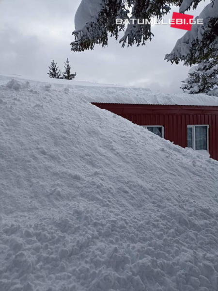 В селах высокогорной Аджарии снег засыпал здания школ. ФОТО     