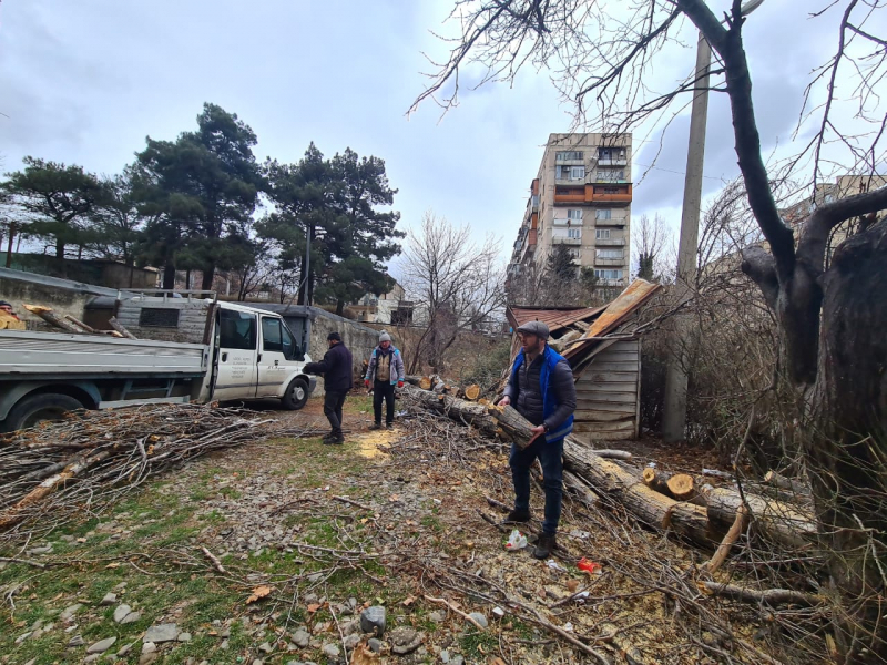 Из-за шквального ветра тбилисский муниципалитет перешел на чрезвычайный режим работы