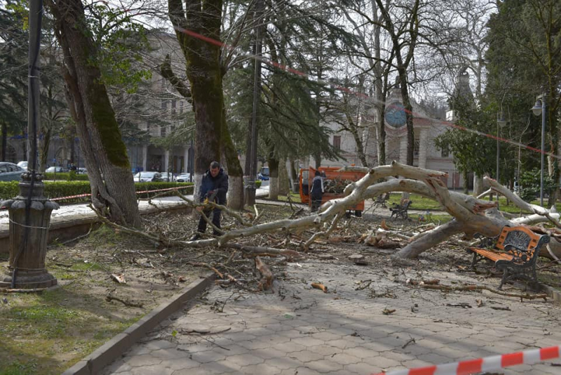 Ветер в Кутаиси сорвал крыши с домов и повалил деревья 
