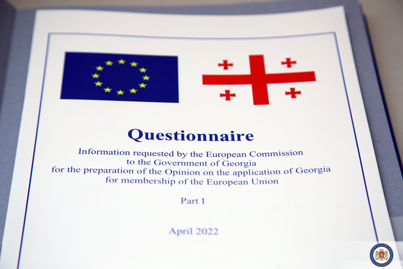 Грузия заполнила первую часть анкеты для вступления в ЕС