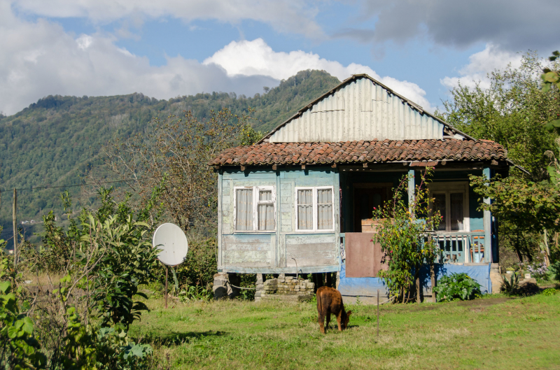 Правительство Грузии купит дома в деревне для 800 семей 