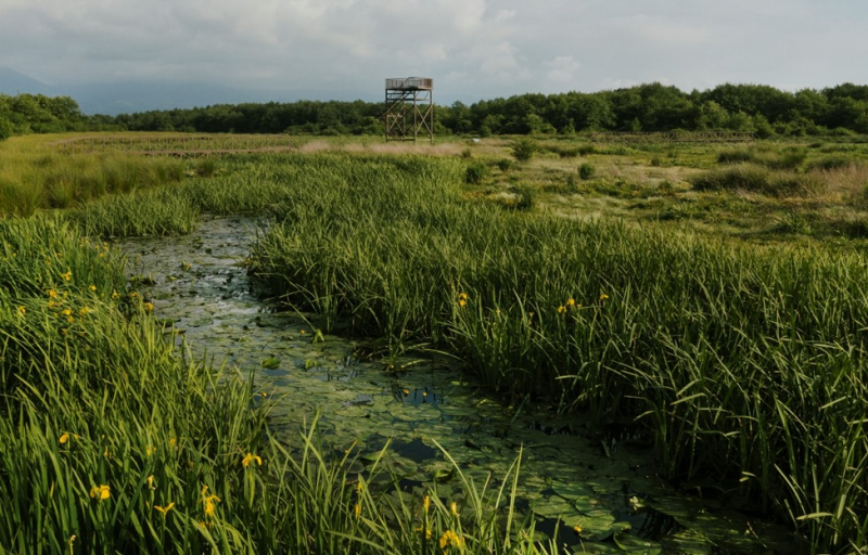 В Аджарии обустроят туристические тропы на уникальных болотах Испани