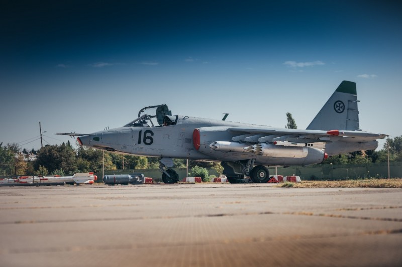 Как в Грузии отметили день военной авиации – ФОТО
