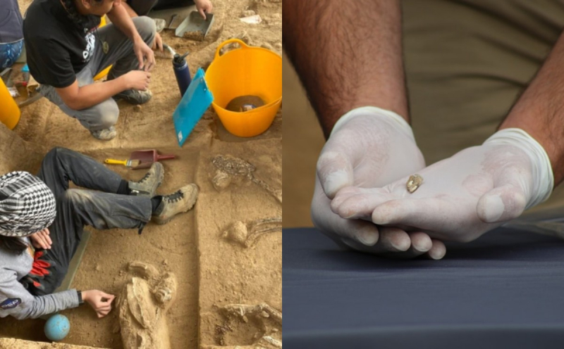В Грузии пригрозили уголовным делом археологам, обнаружившим зуб древнего человека
