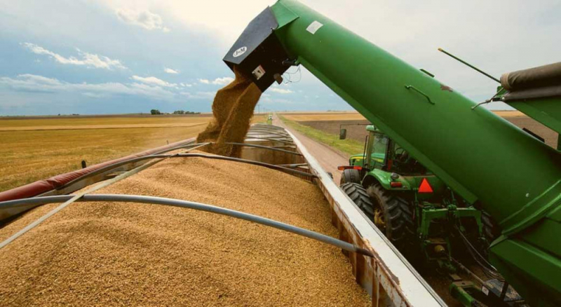 Импорт пшеницы в Грузию сократился на 43,7%, а муки — вырос до рекордного уровня