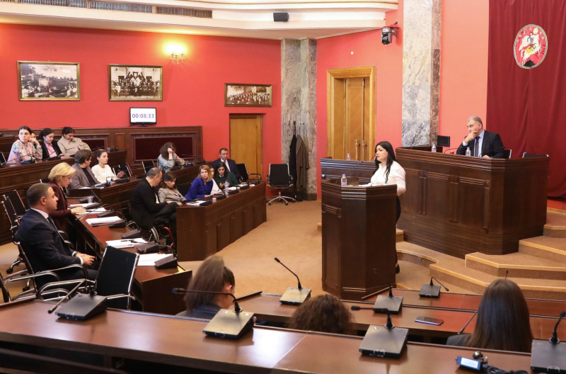Ломджария о слушаниях кандидатов в Народные защитники Грузии: Буллинг и установление самоцензуры