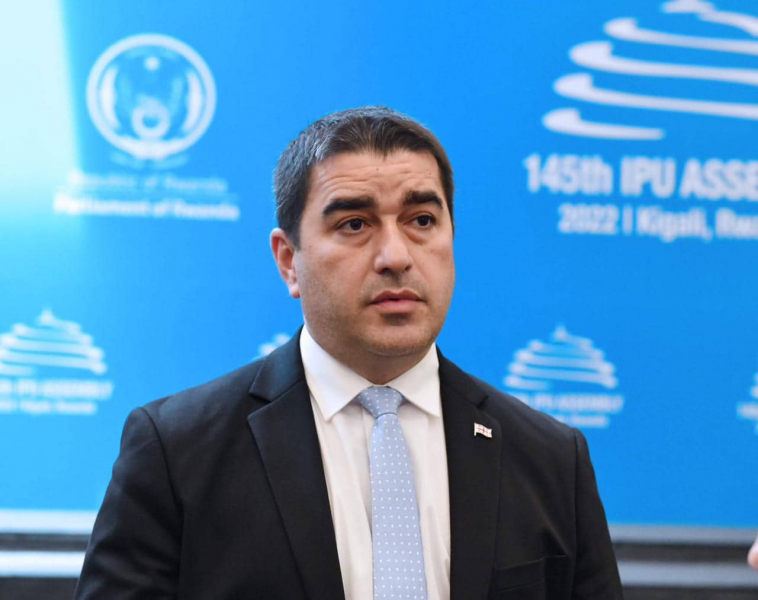 Папуашвили: В парламентах 20 стран подтвердили поддержку политики непризнания