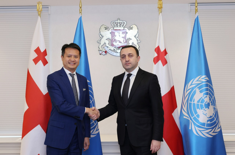 В ООН позитивно оценили работу Грузии по защите интеллектуальной собственности