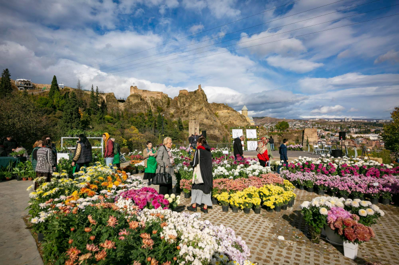 Выставка осенних цветов пройдет в Тбилисском ботаническом саду в первые выходные ноября