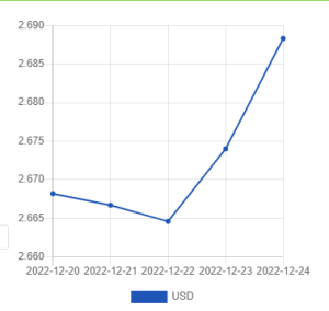 Официальный курс лари на сегодня 24-26 декабря 2022 к доллару и евро