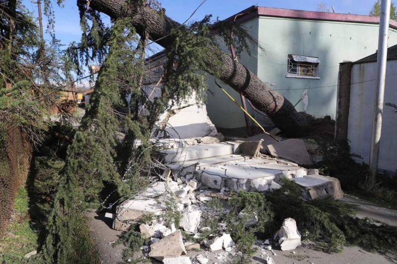 Ураган на западе Грузии: в Ланчхути под упавшим деревом погиб водитель машины