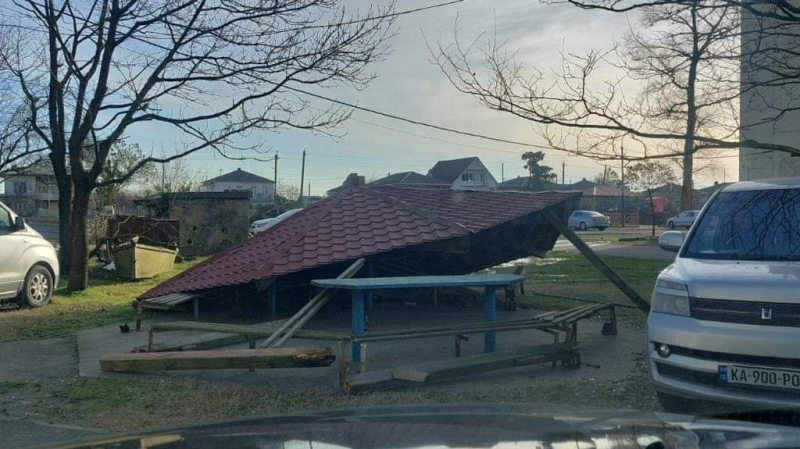 Ураган на западе Грузии: в Ланчхути под упавшим деревом погиб водитель машины