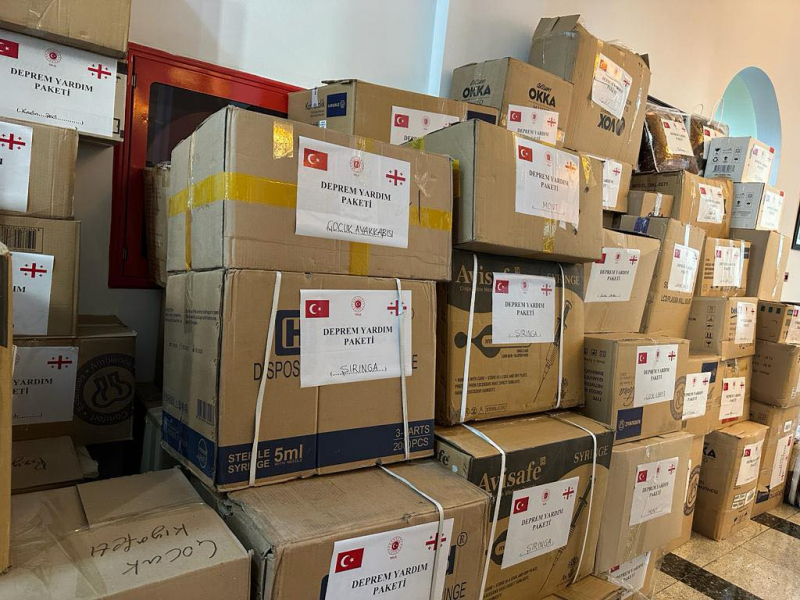 Правительство Грузии выделило миллион лари для гуманитарной помощи населению Турции