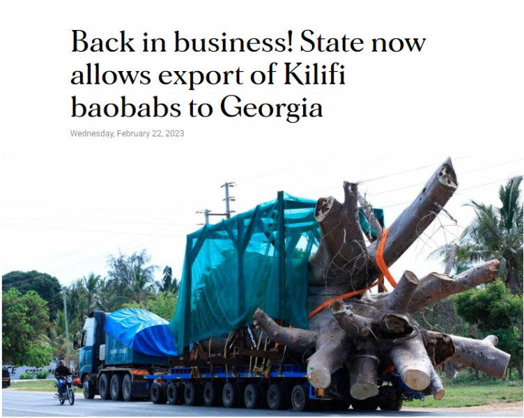 Власти Кении разрешили вывоз баобабов в Грузию