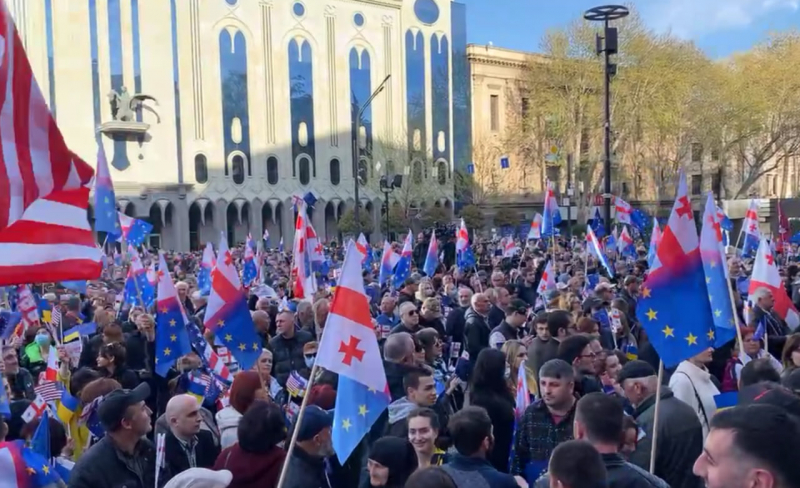ЕНД на митинге в Тбилиси предложило оппозиции сконцентироваться на четырех требованиях к властям