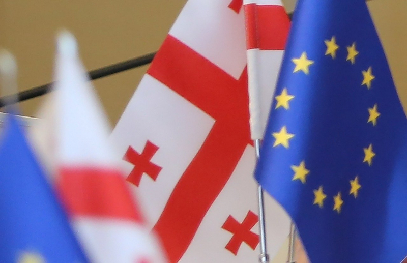 Глава МИД Грузии передал послу ЕС отчет о шагах для сближения с Европой