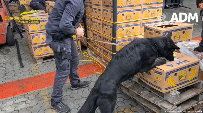 Итальянская полиция задержала судно на пути в Батуми с замороженным кокаином для Армении