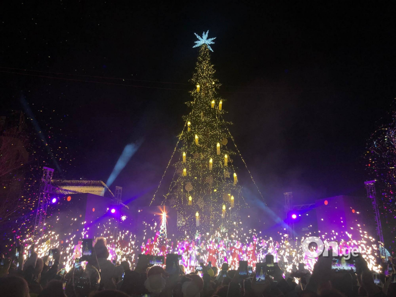 Тбилиси встретит Новый год с новой елкой – выделено более 700 тысяч лари