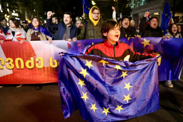 Фотоистория | Тысячи граждан Грузии протестуют против фальсификаций выборов