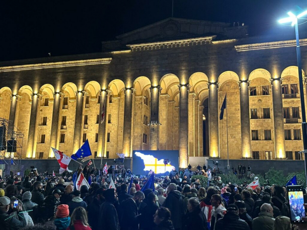 Фотоистория | Тысячи граждан Грузии протестуют против фальсификаций выборов