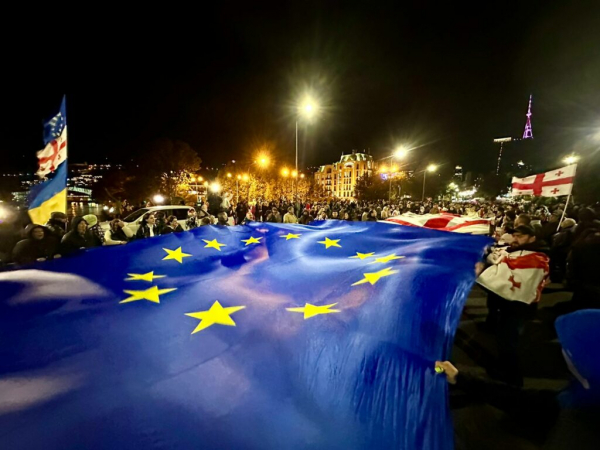 Фотоистория | Тысячи граждан Грузии протестуют против фальсификаций выборов