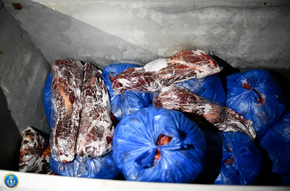 Мясо больных лошадей продавалось в Тбилиси под видом говядины