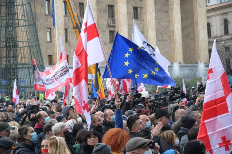 Оппозиция поддерживает подачу заявки о вступлении Грузии в ЕС