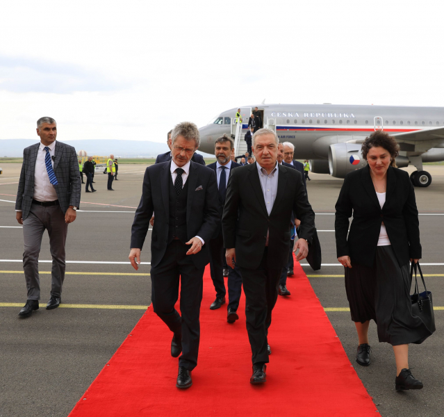 Председатель Сената Чехии посещает Грузию