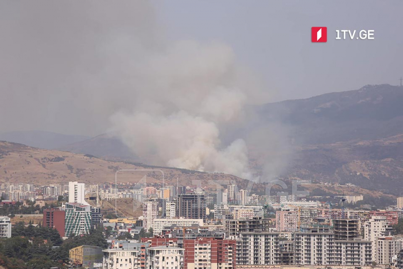 В Тбилиси возник пожар возле Аграрного университета  